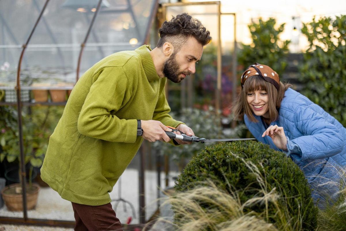 Composting 101: Reduce Waste and Enhance Garden Health