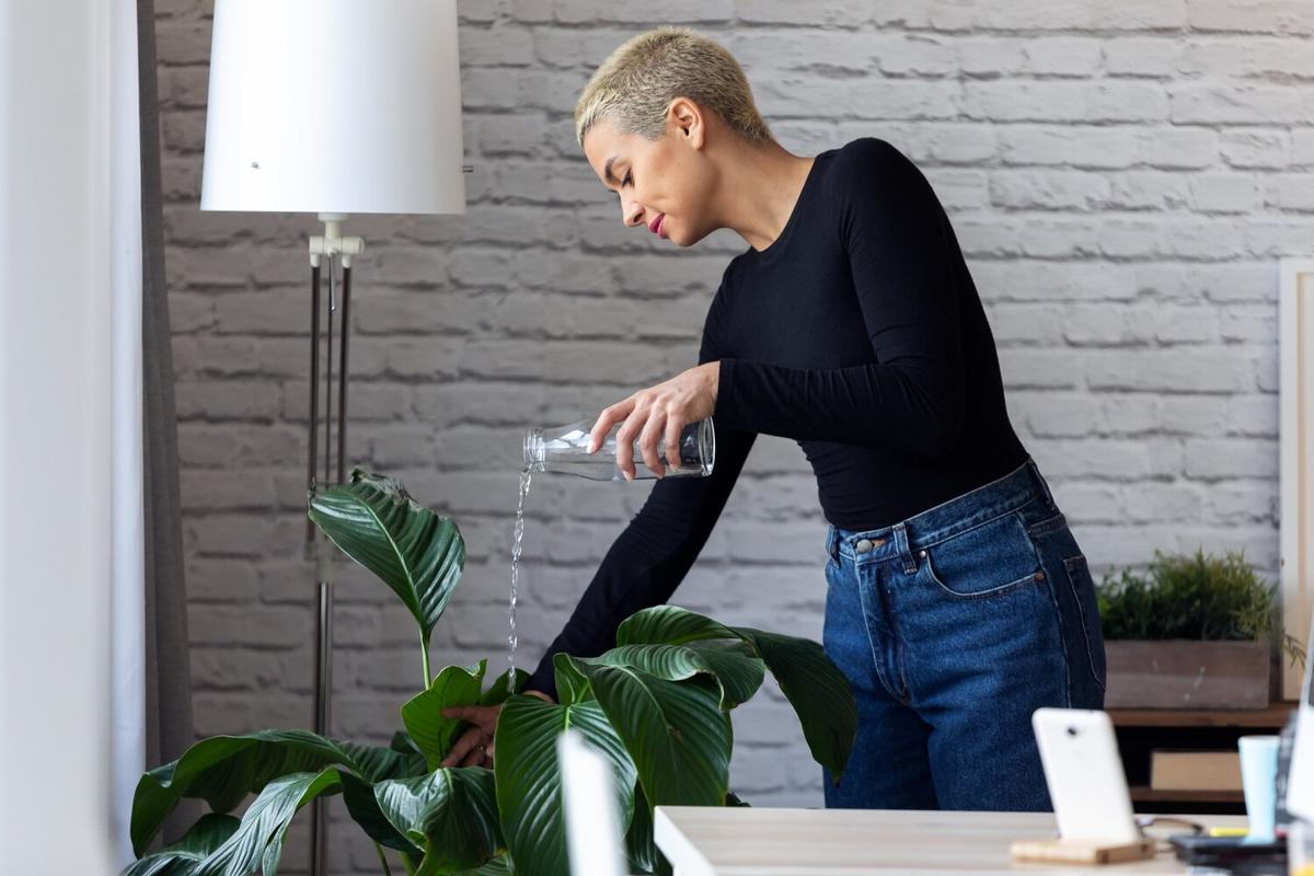 Simple Ways to Reduce Water Usage in Your Home